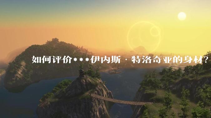 如何评价***伊内斯·特洛奇亚的身材？