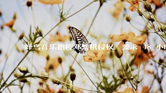 蜂鸟音乐指控邓紫棋侵权，要求 48 小时内下架重录歌曲，邓紫棋回应「不会下架」，这一指控合理吗？