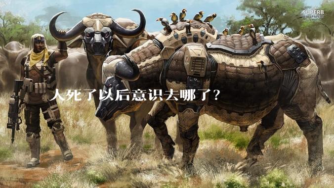 人死了以后意识去哪了？