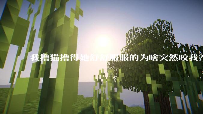 我撸猫撸得她舒舒服服的为啥突然咬我？